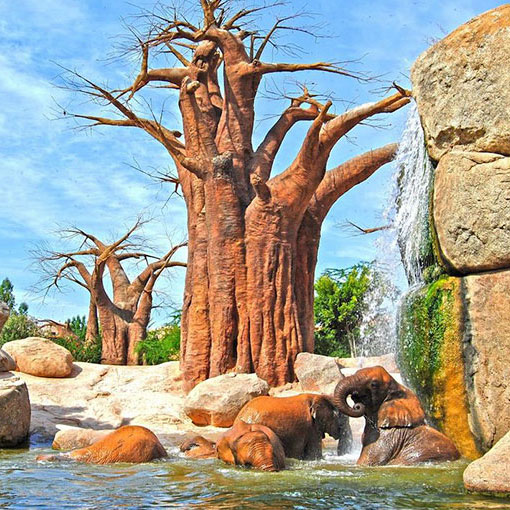 amusement-logic-bioparc-elefantes