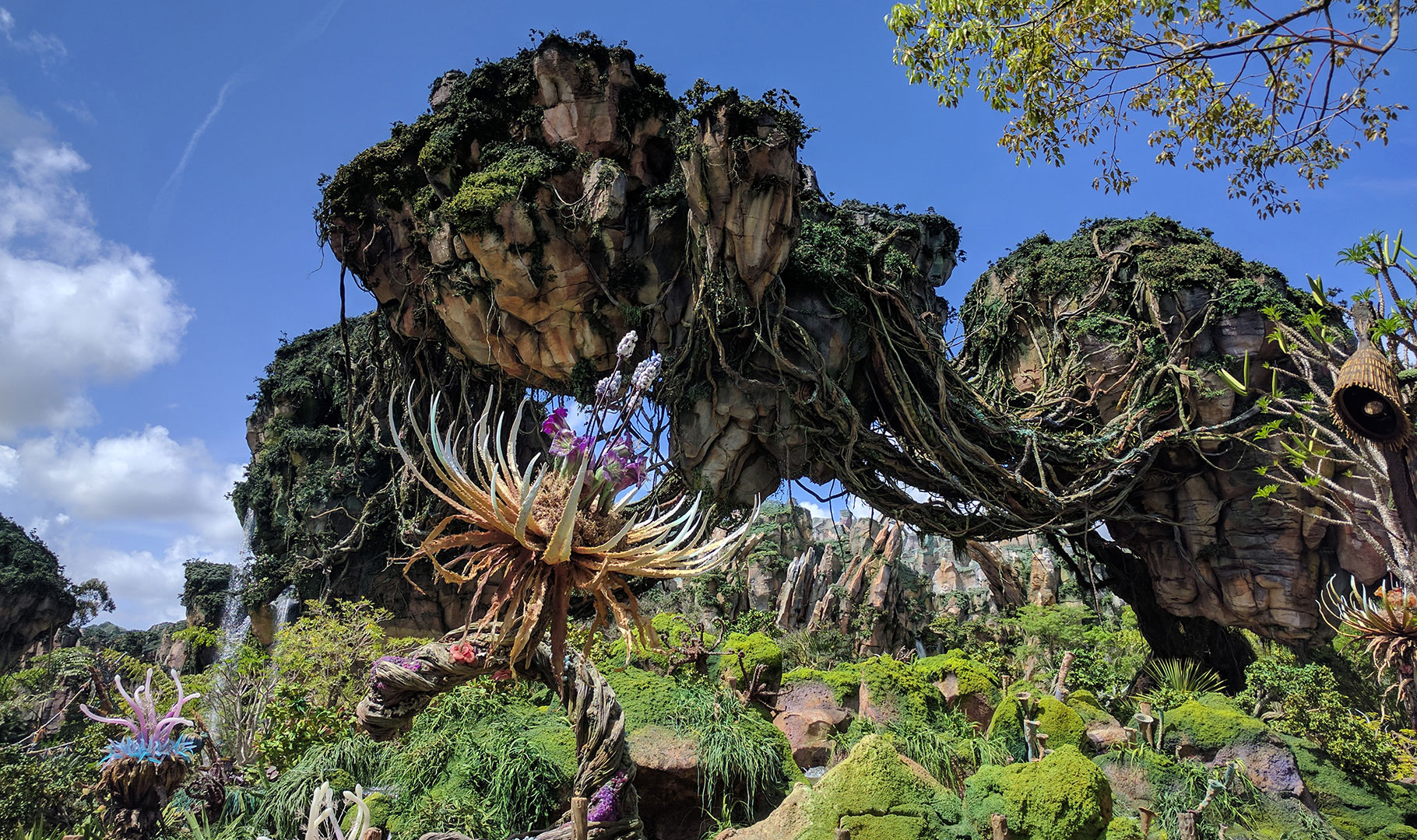 Мир аватара. Pandora – the World of avatar. Мир аватара в нашем мире. Моара. Enchanted walk at the Vallee de mai.