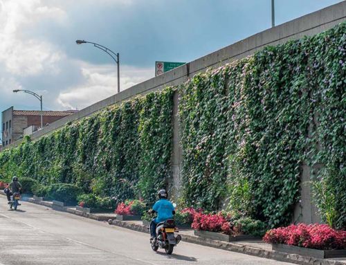 Борьба с жарой с помощью зеленых коридоров, Медельин, Колумбия (+ВИДЕО)