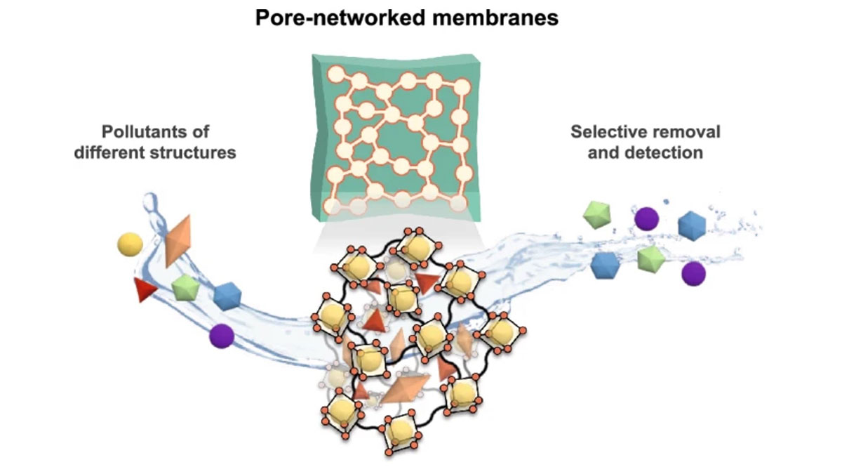 Вода и исследование: новый «настраиваемый» фильтр от химических загрязнений