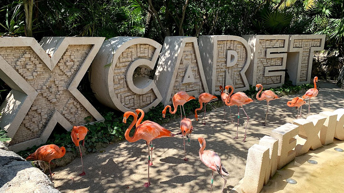 Тематические парки в гармонии с природой: пример Xcaret