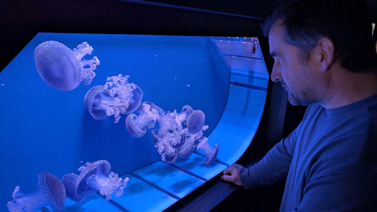 Interview-with-Alejandro-Beneit-02