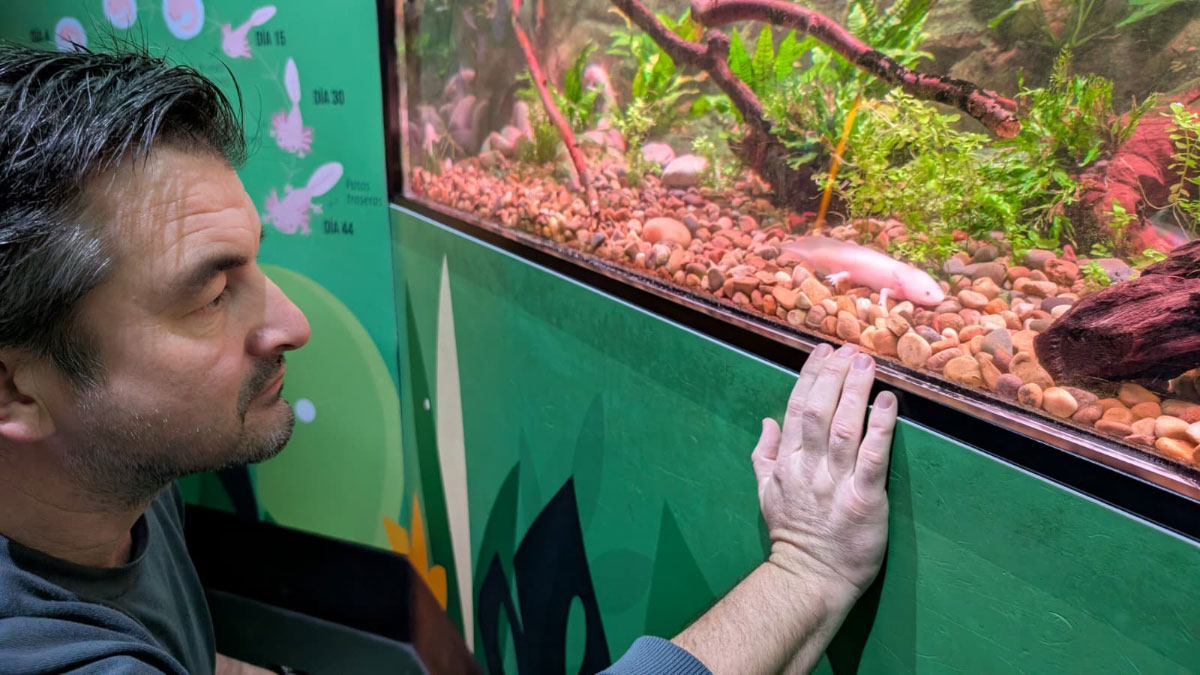 Interview-with-Alejandro-Beneit-04